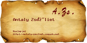Antaly Zsüliet névjegykártya
